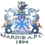 基德明斯特鹞鹰